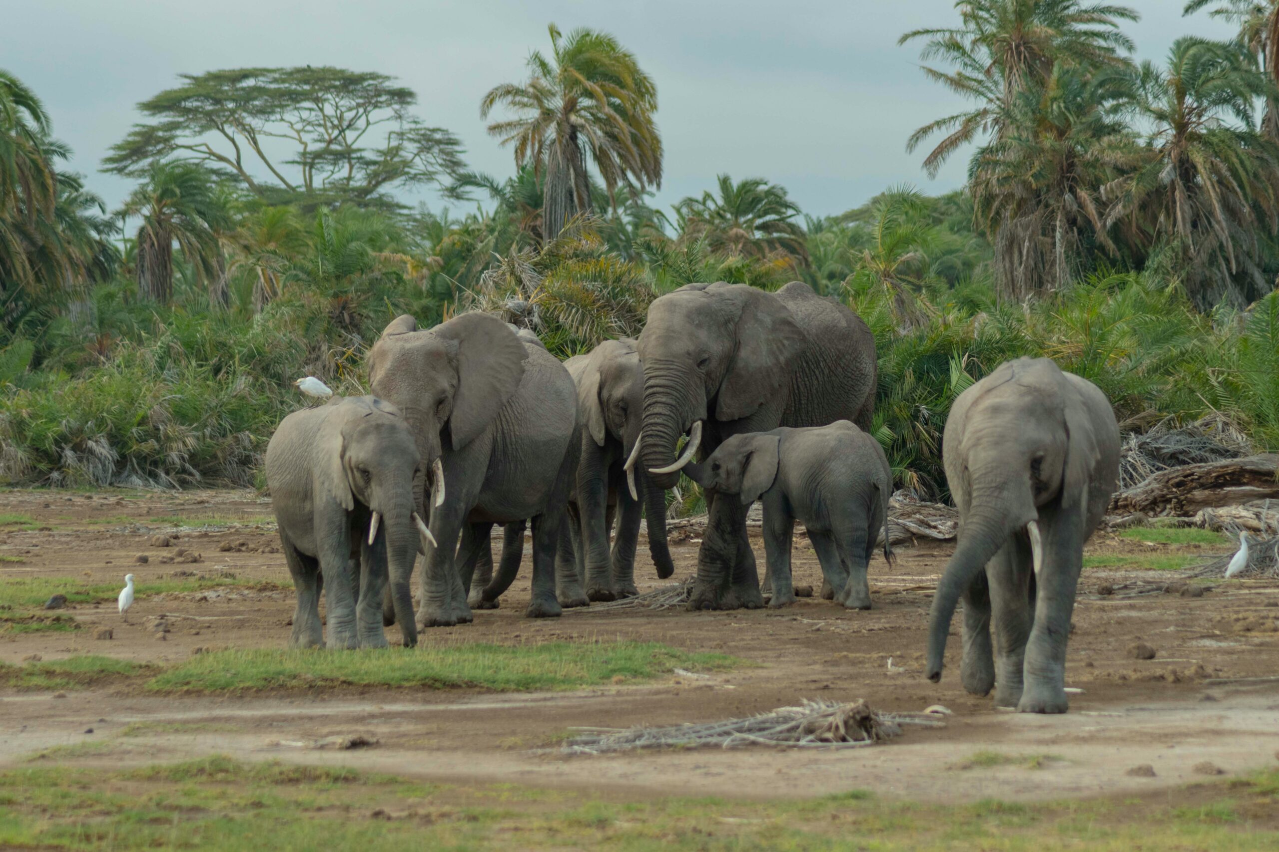 Lake Manyara