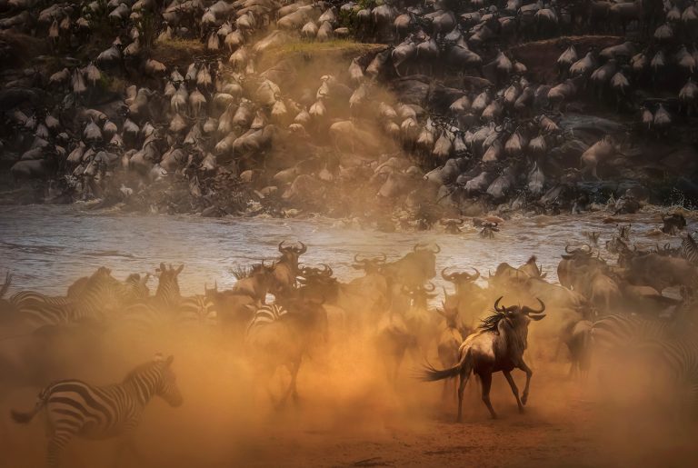 great-migration-serengeti
