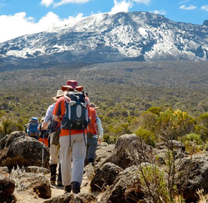 mt-kilimanjaro-hike-lemosho-route-720x606